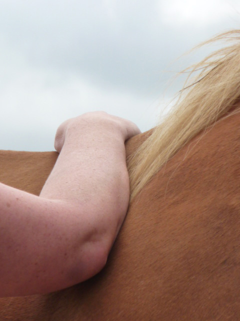 We endeavour to bring mindfulness, presence and respect to all our interactions with the horses.